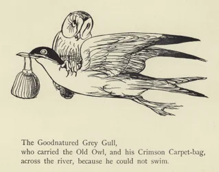 The Goodnatured Grey Gull